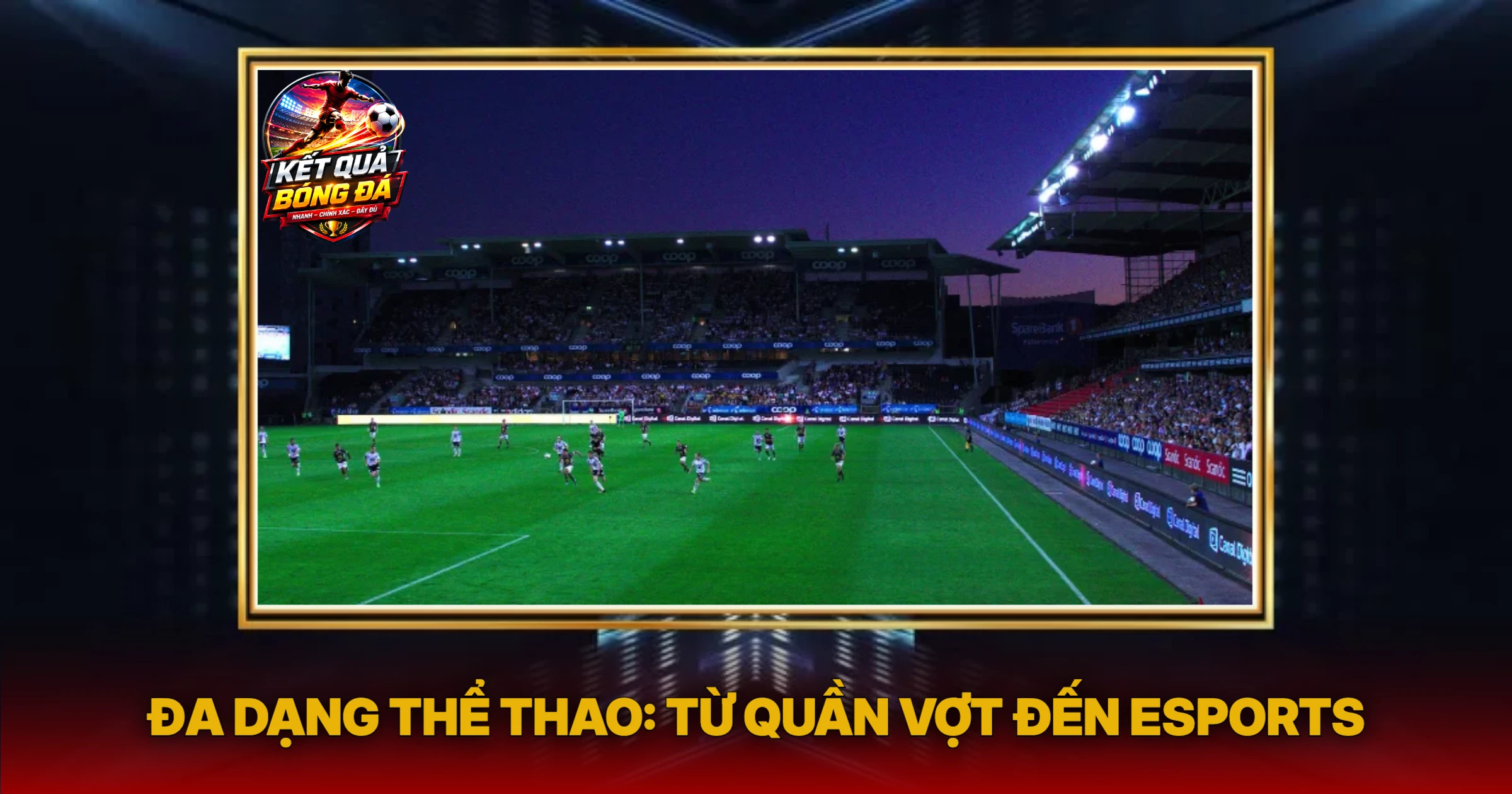 Lịch thi đấu 2 Đa Dạng Thể Thao: Từ Quần Vợt Đến Esports